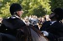 les chevaux 014 * 4272 x 2848 * (3.39MB)